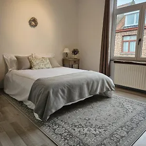 Scone - Guestroom - Centre Of In Calm Area Gasthuis Brugge